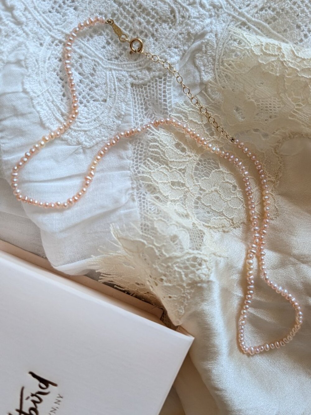 Limited Catbird Ghost Rose Collar, 15-17"